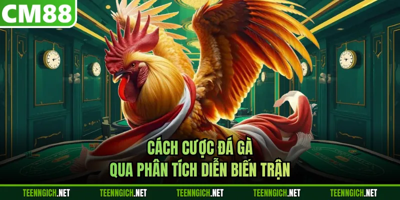 Cách Cược Đá Gà Nâng Cao Cơ Hội Chiến Thắng Mỗi Trận Đấu - Wexin