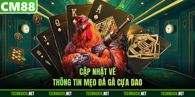 Mẹo Đá Gà Cựa Dao Siêu Hấp Dẫn Dành Cho Hội Viên Tại CM88 - Wexin