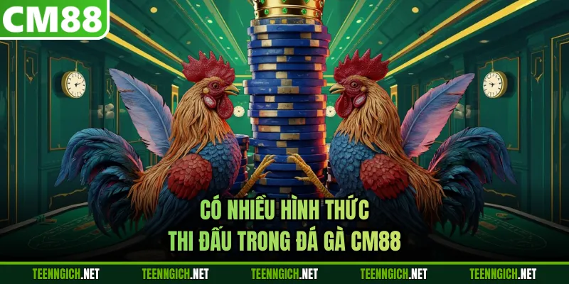 Đá Gà CM88 - Trải Nghiệm Những Trận Đấu Đỉnh Cao - Wexin