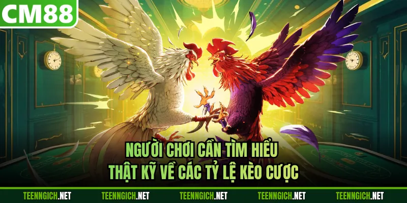Mẹo Đá Gà Cựa Dao Siêu Hấp Dẫn Dành Cho Hội Viên Tại CM88 - Wexin