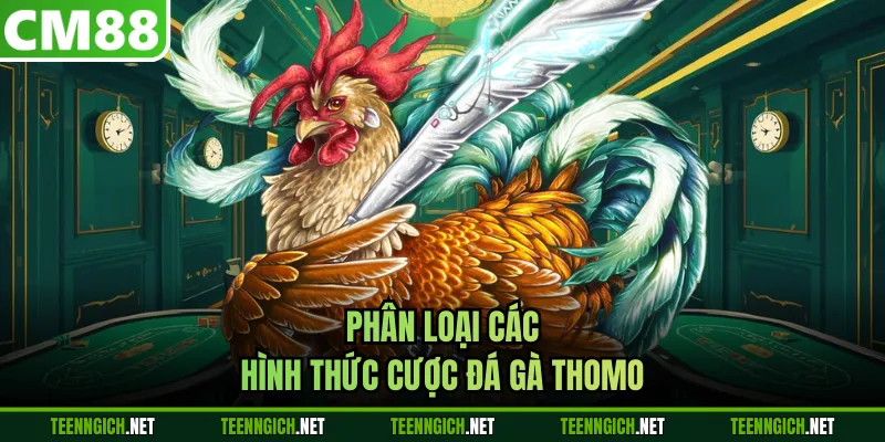 Đá Gà Thomo CM88 - Livestream Mượt Mà, Tỷ Lệ Cược Cạnh Tranh - Wexin