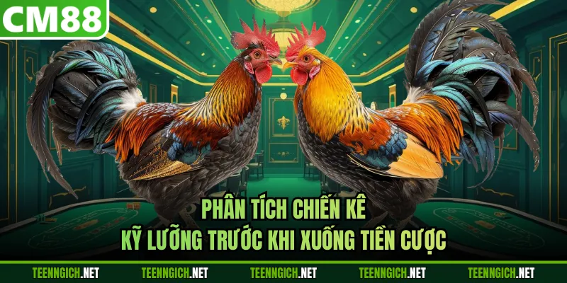 Cách Cược Đá Gà Nâng Cao Cơ Hội Chiến Thắng Mỗi Trận Đấu - Wexin