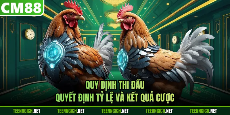 Cách Cược Đá Gà Nâng Cao Cơ Hội Chiến Thắng Mỗi Trận Đấu - Wexin