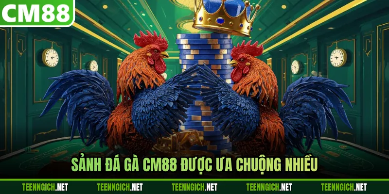 Đá Gà CM88 - Trải Nghiệm Những Trận Đấu Đỉnh Cao - Wexin