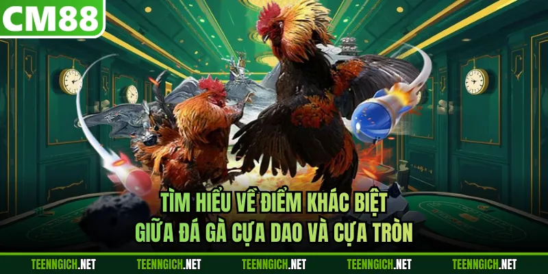 Mẹo Đá Gà Cựa Dao Siêu Hấp Dẫn Dành Cho Hội Viên Tại CM88 - Wexin