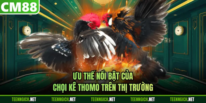 Đá Gà Thomo CM88 - Livestream Mượt Mà, Tỷ Lệ Cược Cạnh Tranh - Wexin